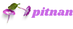 pitnan